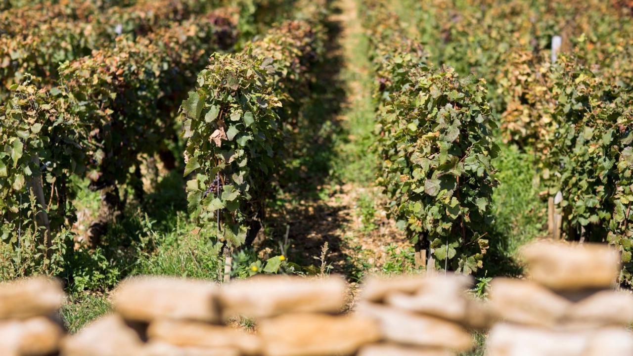 Comblanchien Domaine Gilleゲストハウス エクステリア 写真